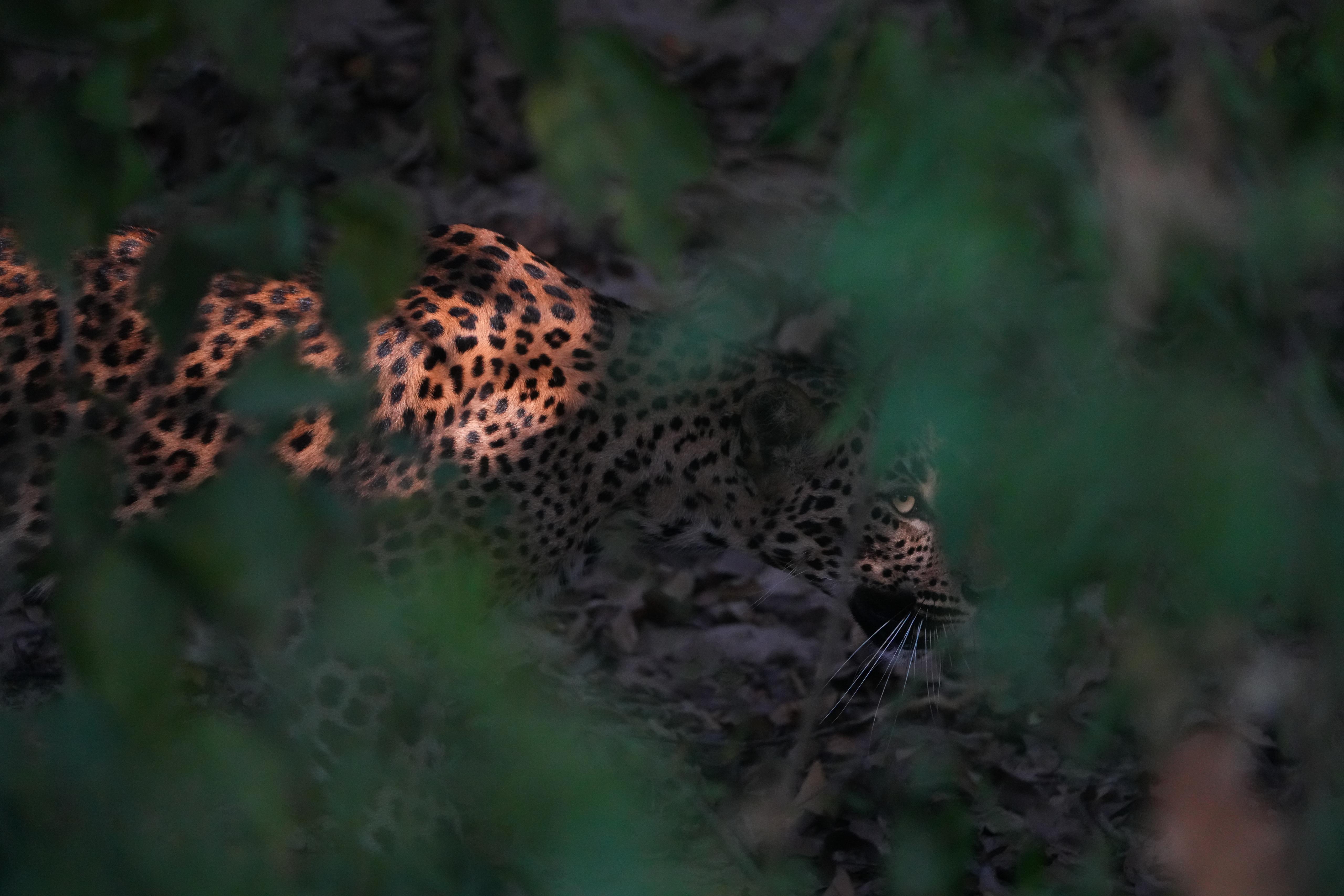 WhatsApp Image 2025-09-06 at 12.47.57_b2f4213b