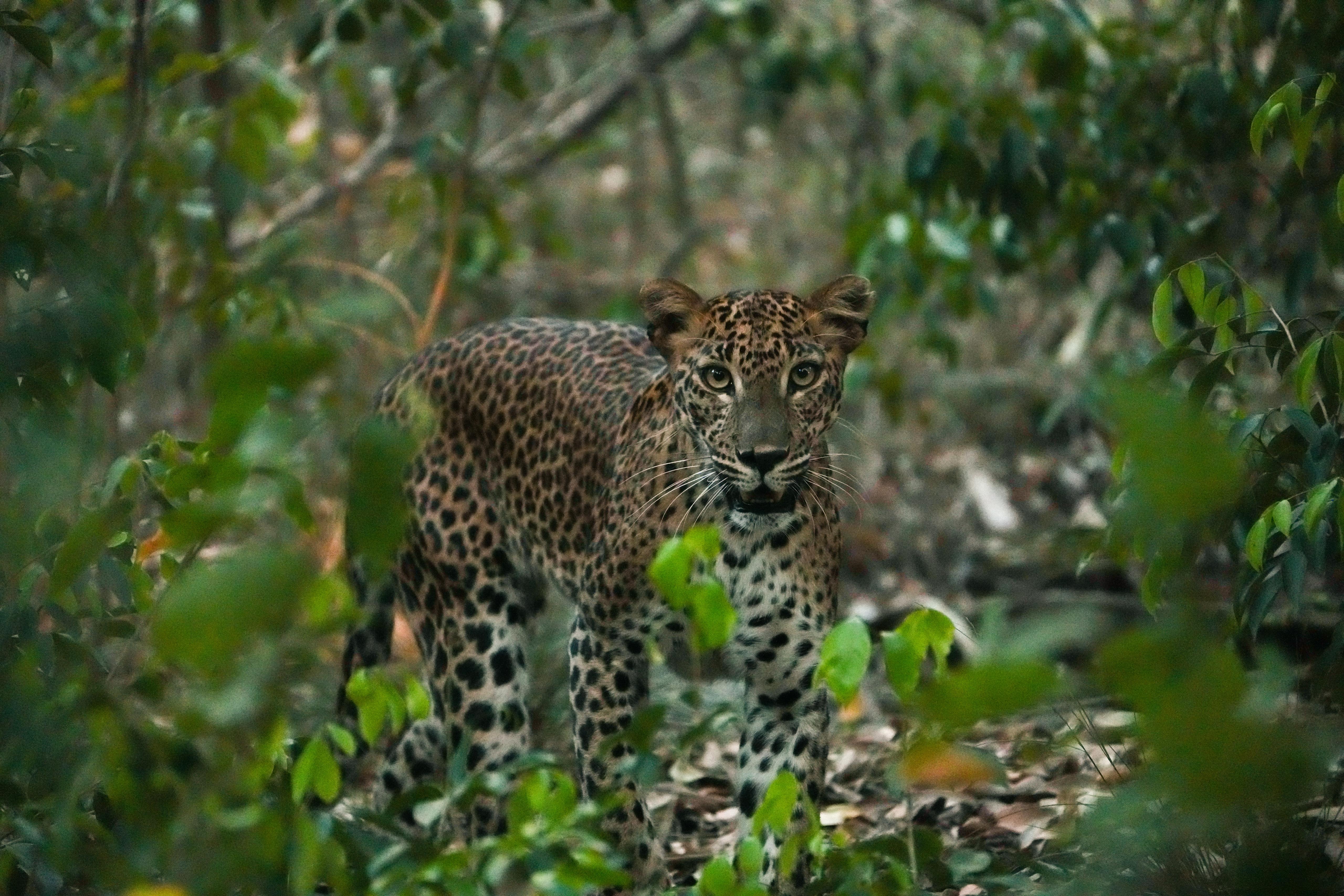 WhatsApp Image 2025-09-13 at 22.07.20_f5bc9bd4