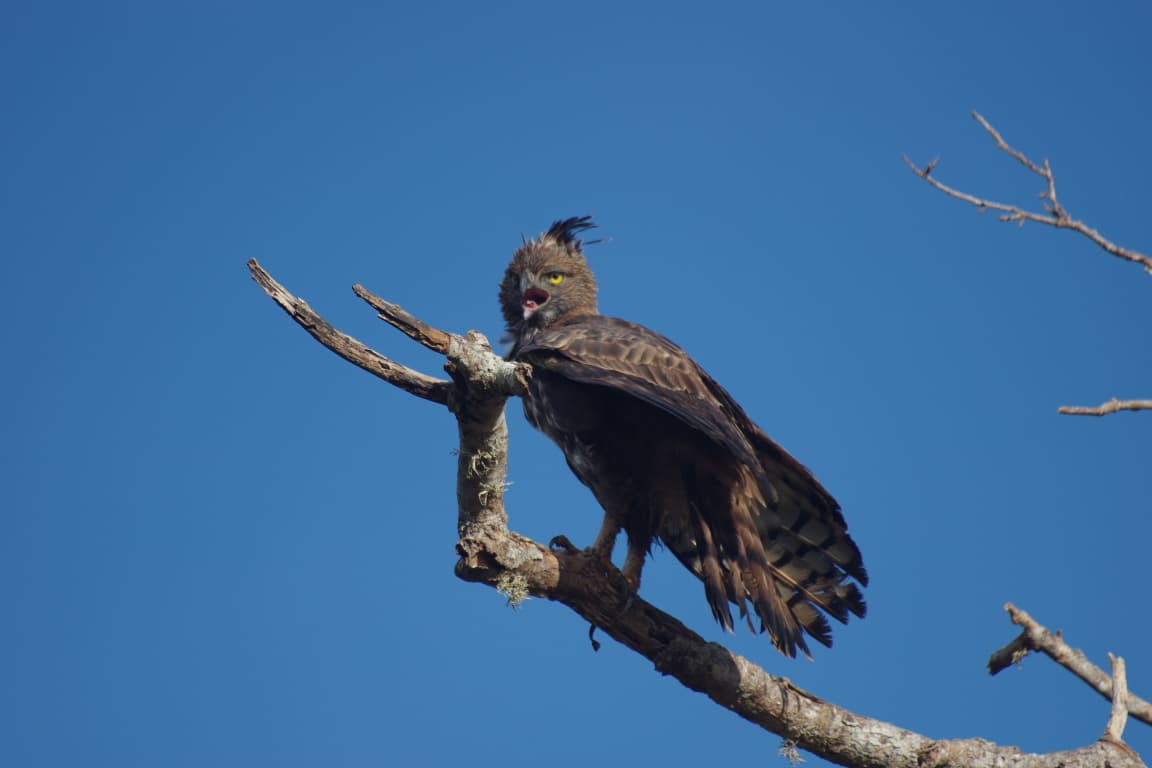 WhatsApp Image 2025-08-26 at 07.36.54_943d80e6