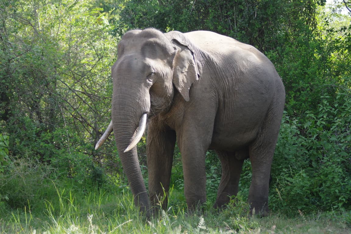 WhatsApp Image 2025-08-26 at 08.29.43_26900fba